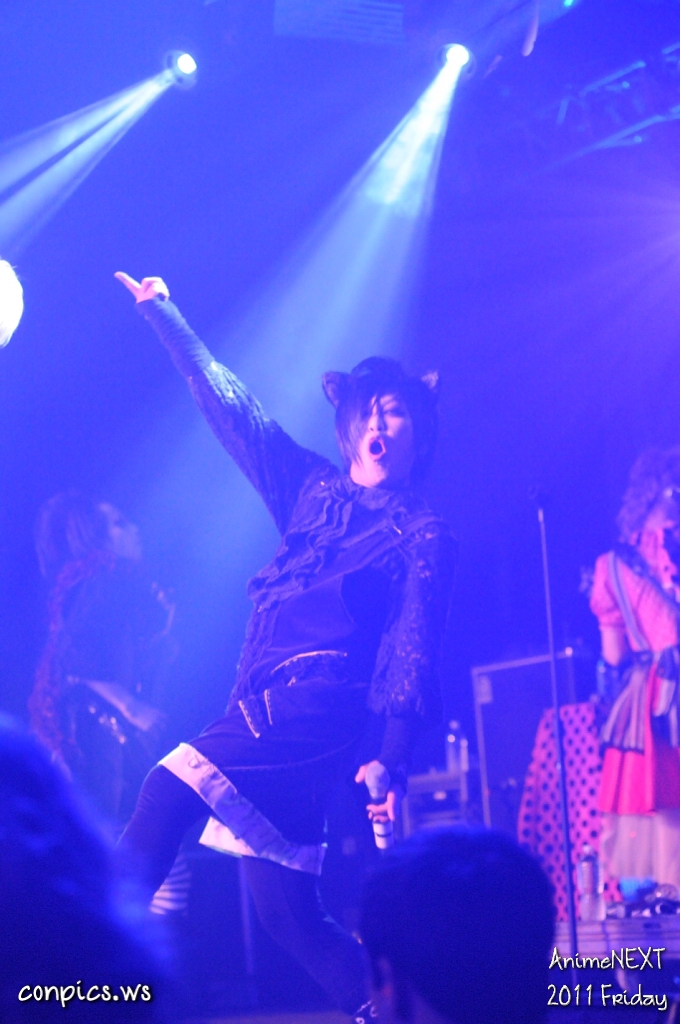 D4D_5466