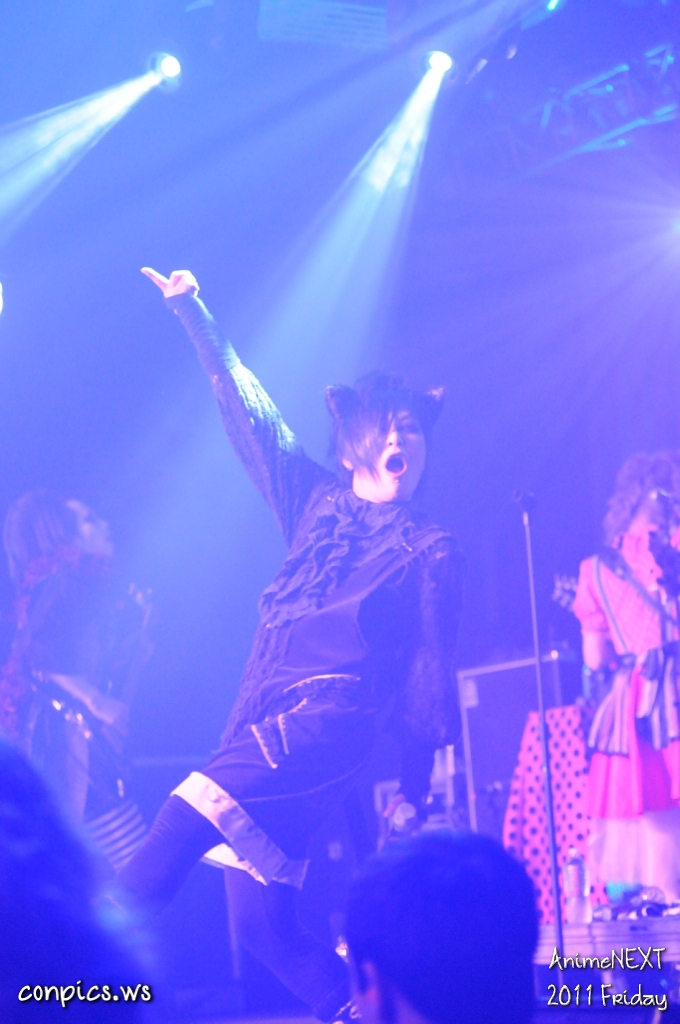 D4D_5467