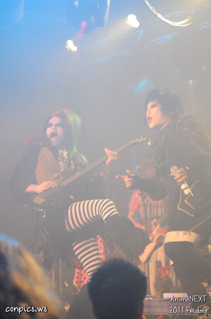 D4D_5498