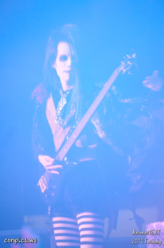 D4D_5509