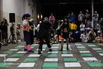 D3N_4276