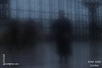 D3Z_1203
