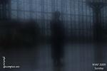 D3Z_1207
